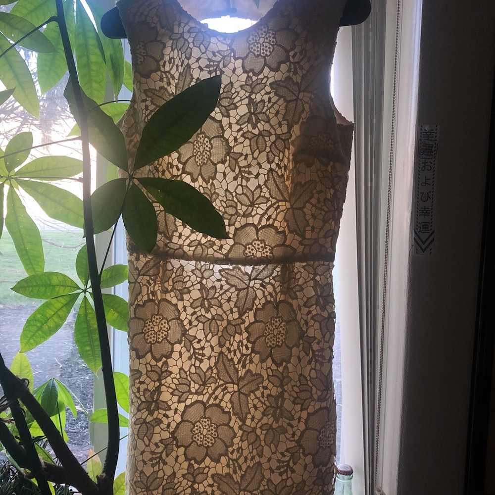 Backless Lace Zara dress